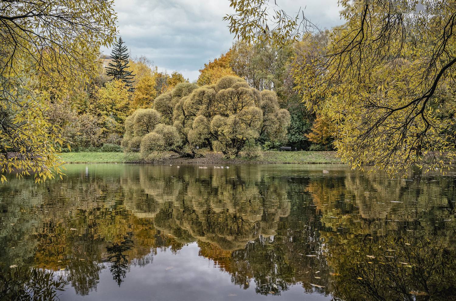 морозовский парк., Бирюков Вячеслав