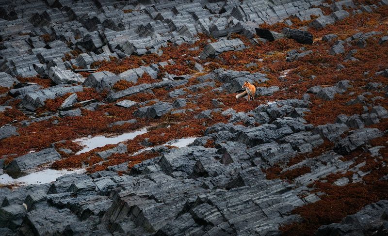 Рыжая на Кекурском фото превью