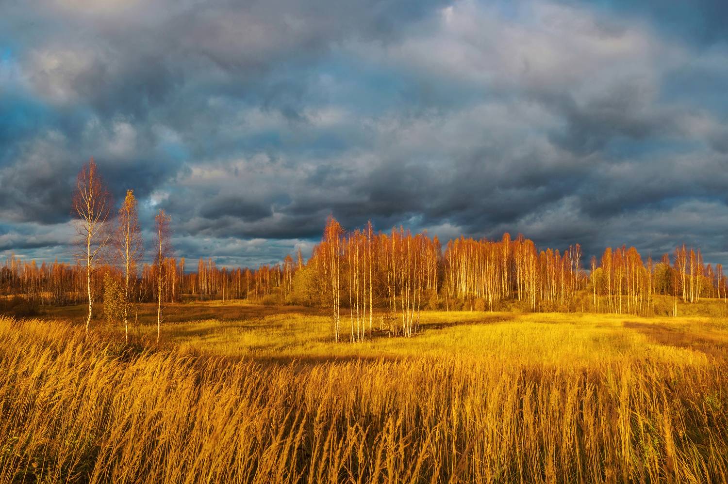 осень, поле , тучи, Александр Свистков