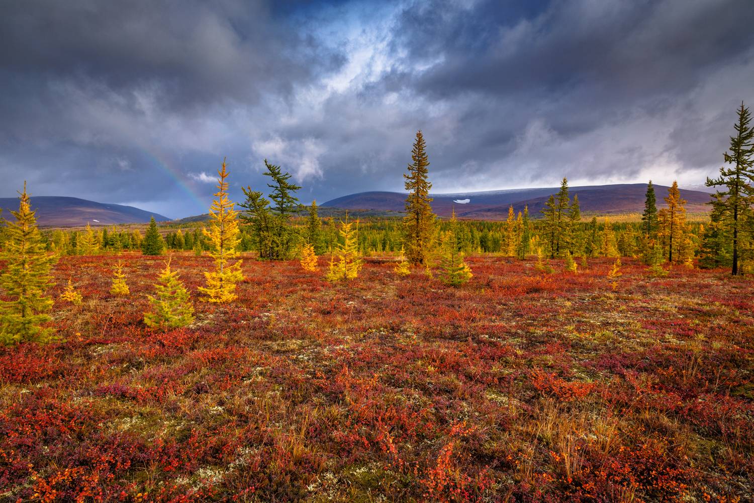, Евгений Кужилев