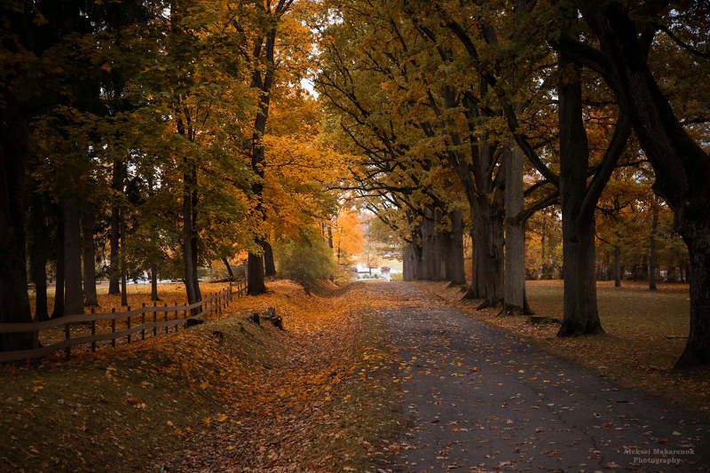 осенние, зарисовки................ Oсенние зарисовки................ фото превью