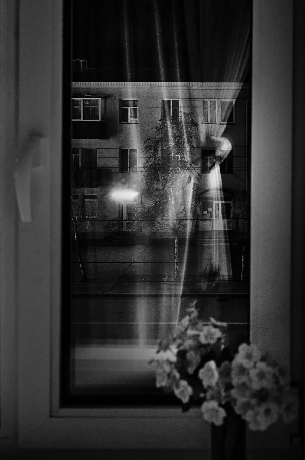 , Наталья Новикова