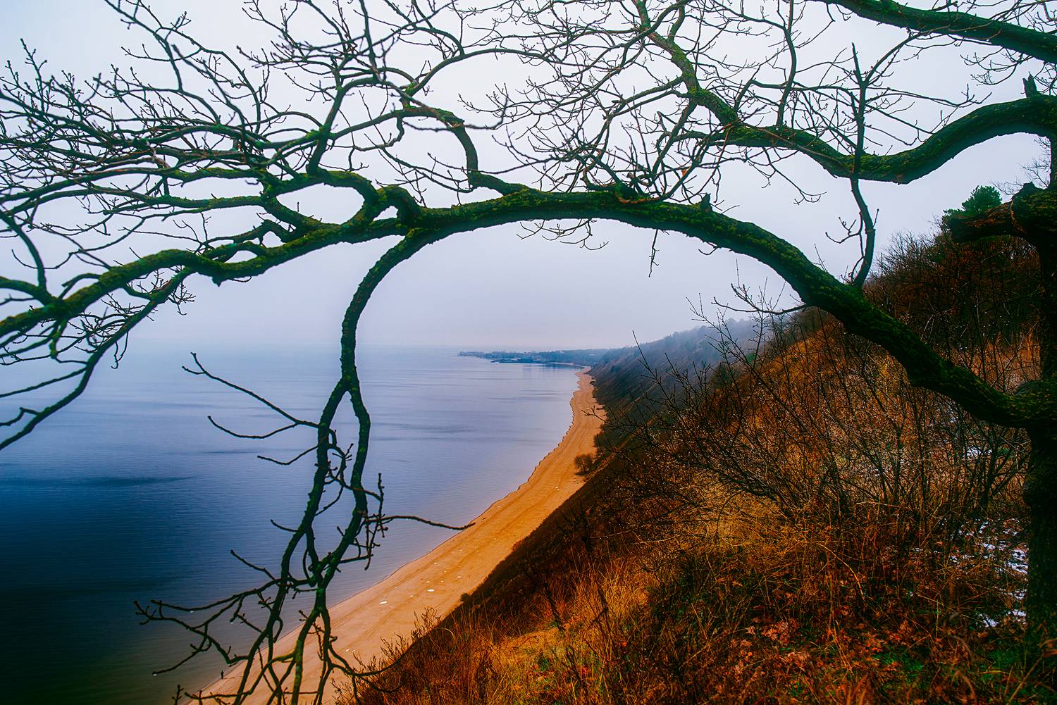 осень туман, Дзюба Нелли
