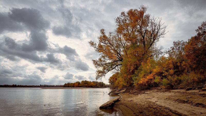 Убравшись золотом осенним фото превью