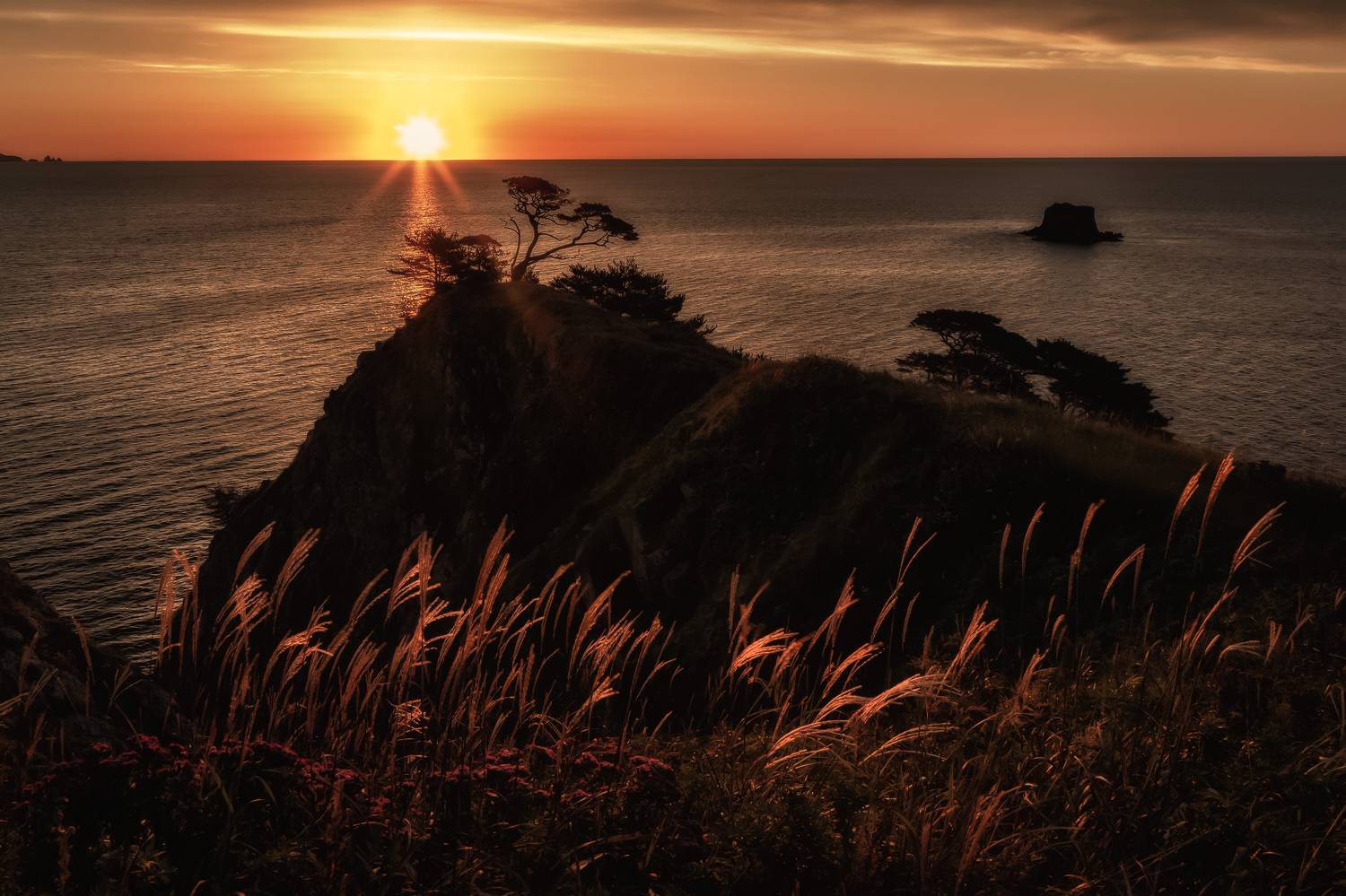 приморский, край, Елена Гусева