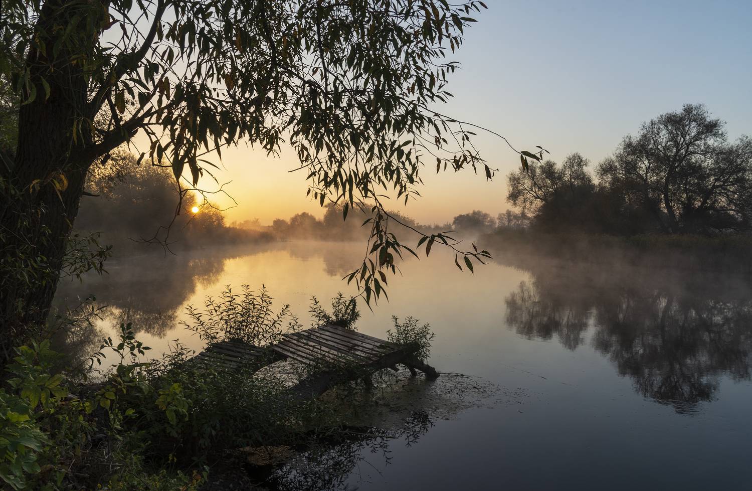 , Дмитрий Новоселов
