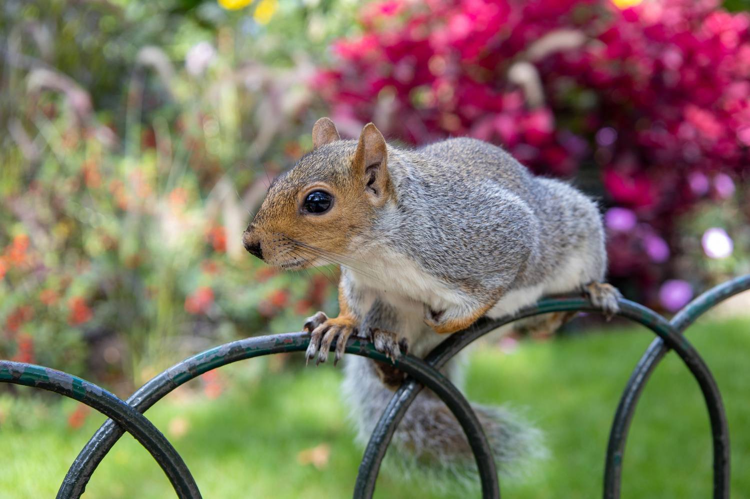 , Вадим Городницкий