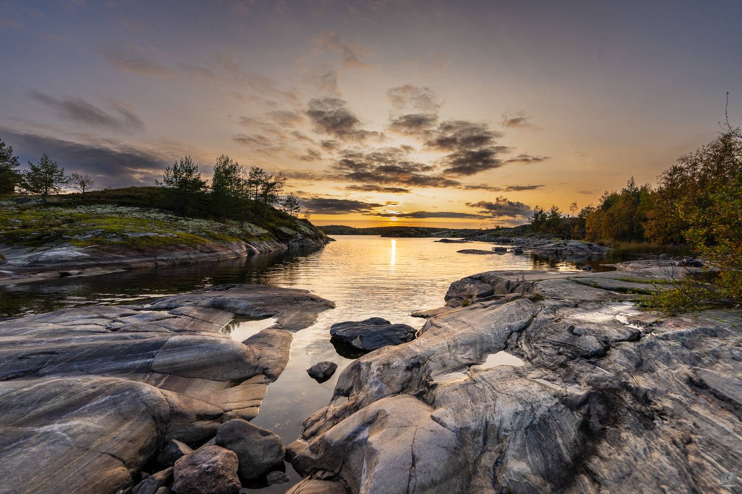 , Ковалев Дмитрий