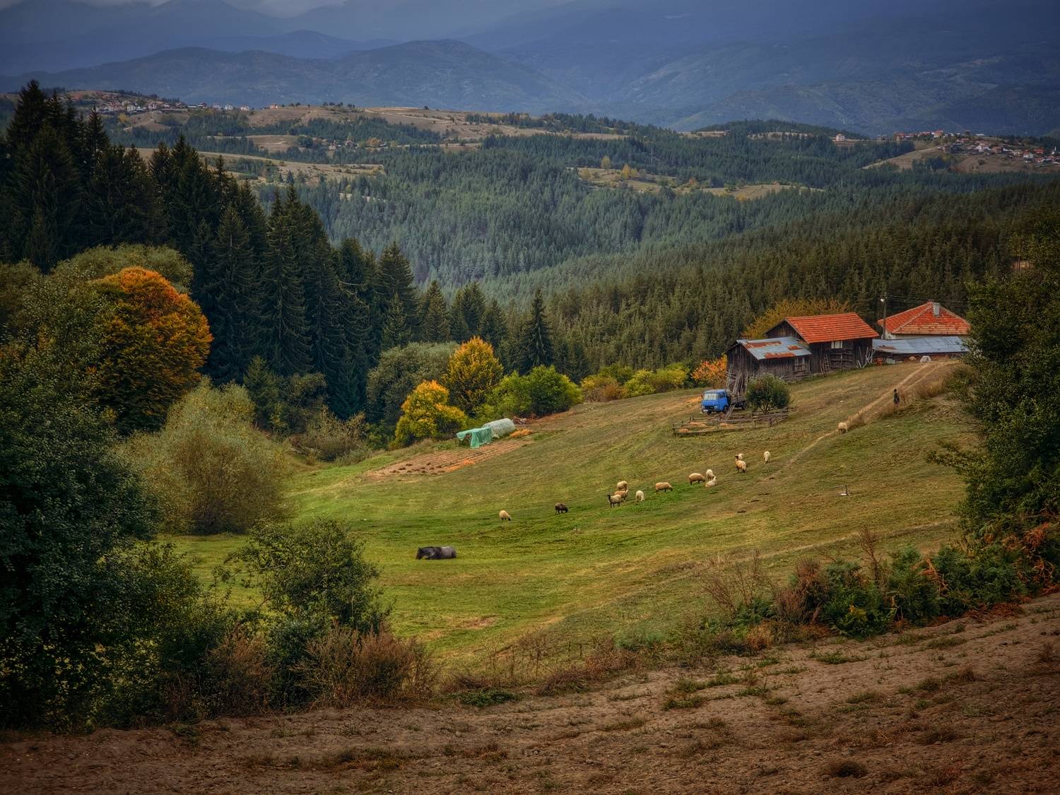 #Bulgaria #sheep# autumn# house # forest# horse, Герчев Николай