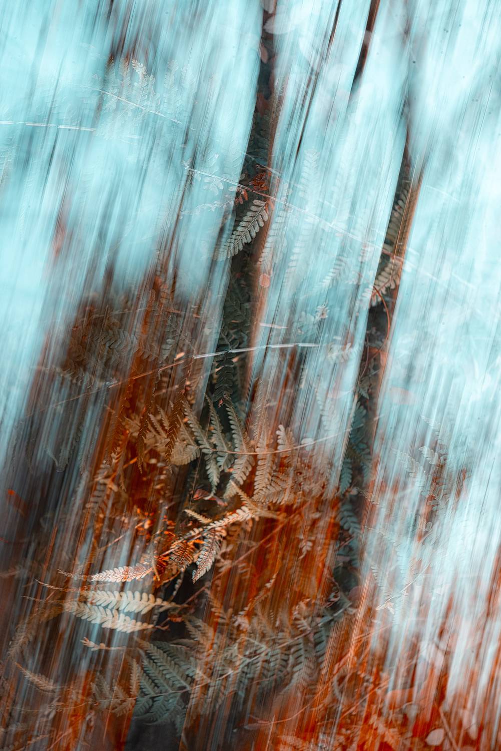 осень, природа, арт, мультиэкспозиция, Неля Рачкова