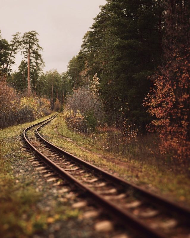 Дорога уходит в даль фото превью