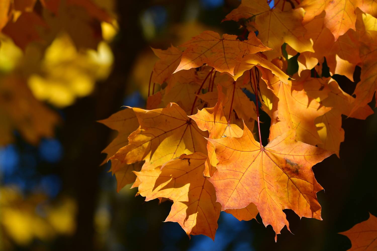 , Корнейчук Игорь