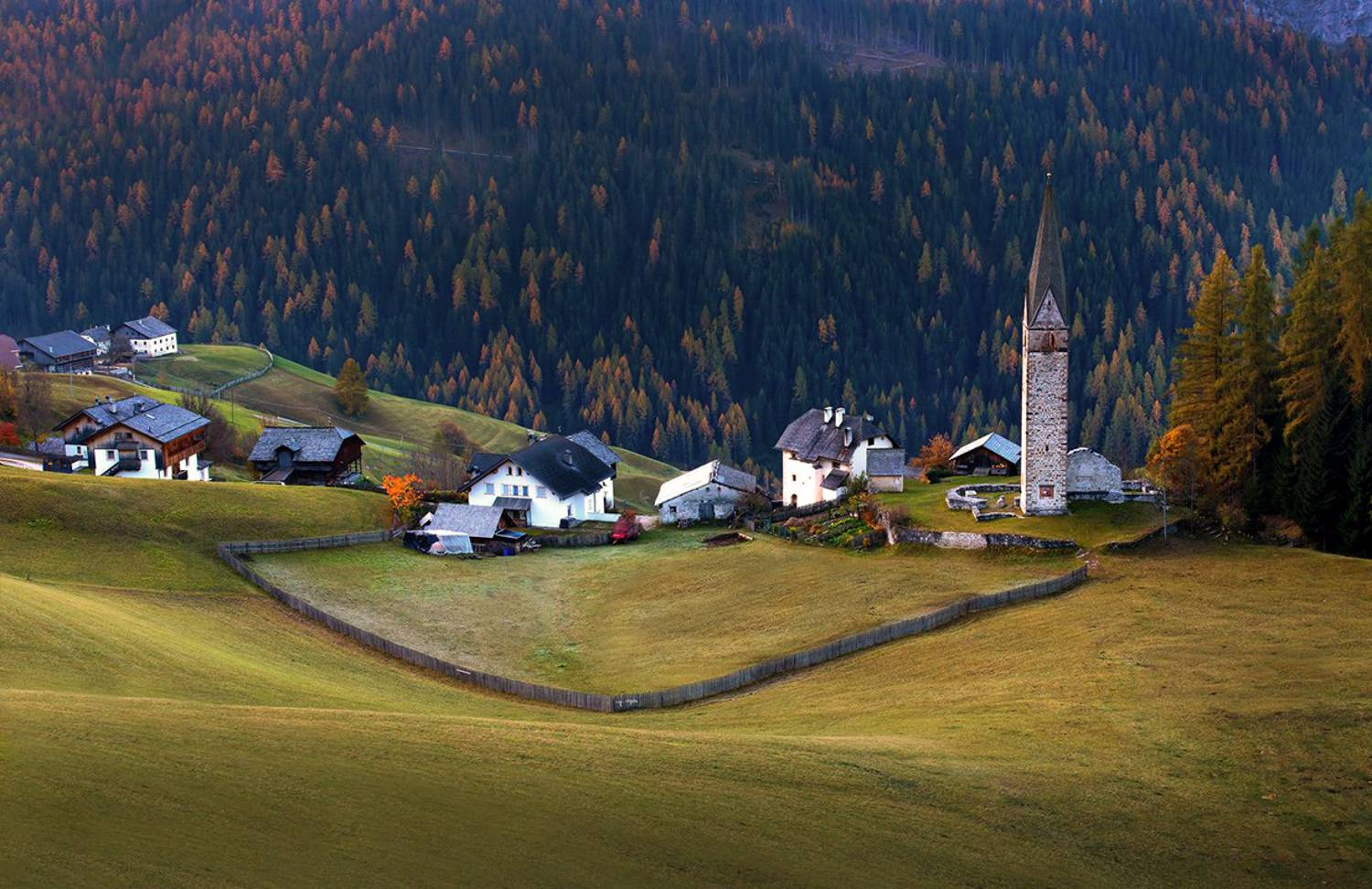 , Игорь Дубровский