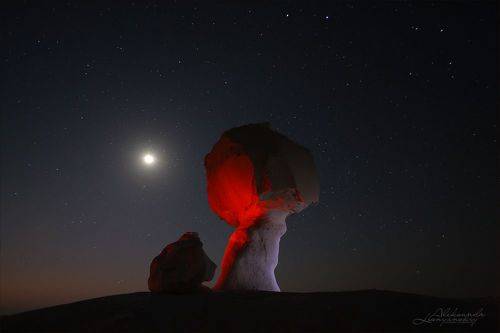 Сhicken and mushroom.