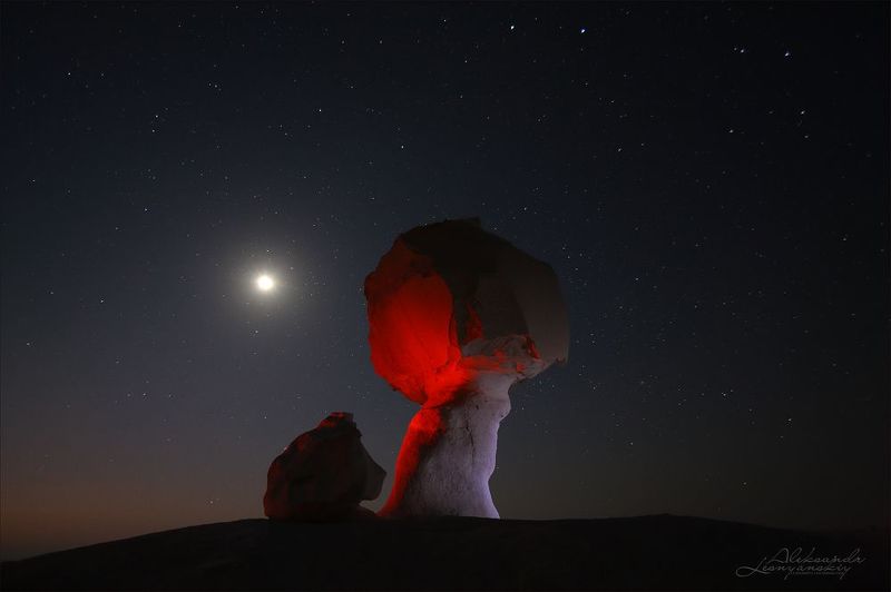 Сhicken and mushroom. фото превью