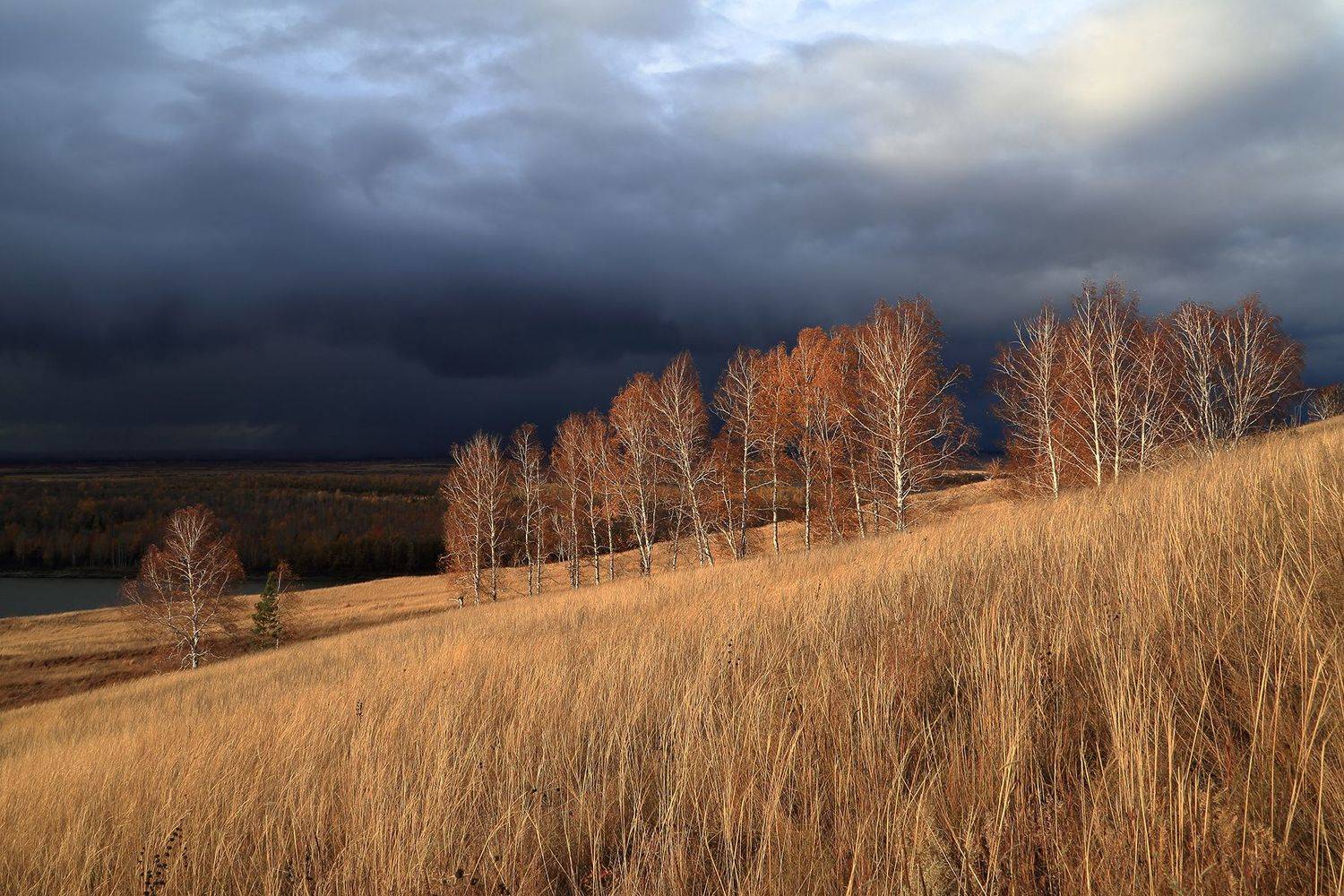, Евгений Зинов