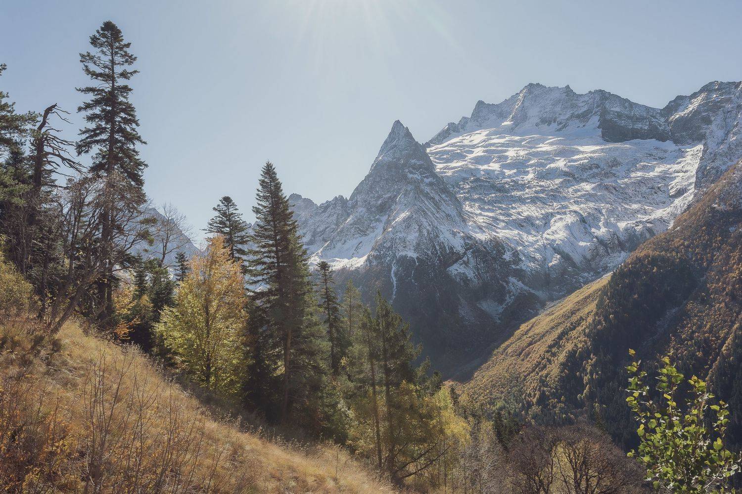 , Юрий Пужалин