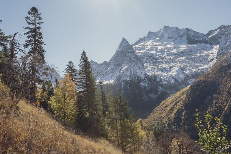 *** фото превью