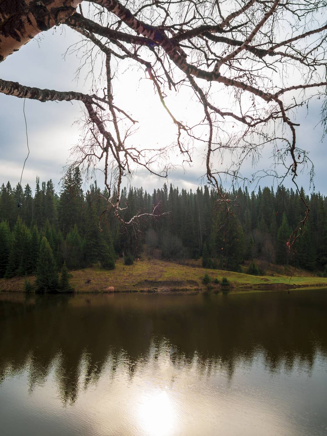 , Андрей Хаймин