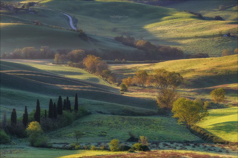 italy,san quirico d \'orcia,italia,тоскана,pienza,кипарисы,toscana,весна,tuscany,cipressi,belvedere,пьенца Кругом расплескался утренний свет фото превью