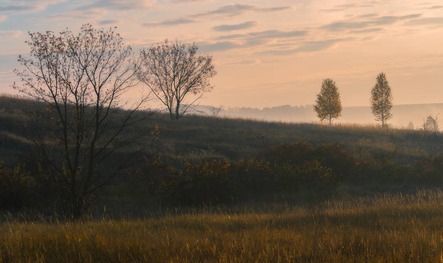 , Колесов Андрей