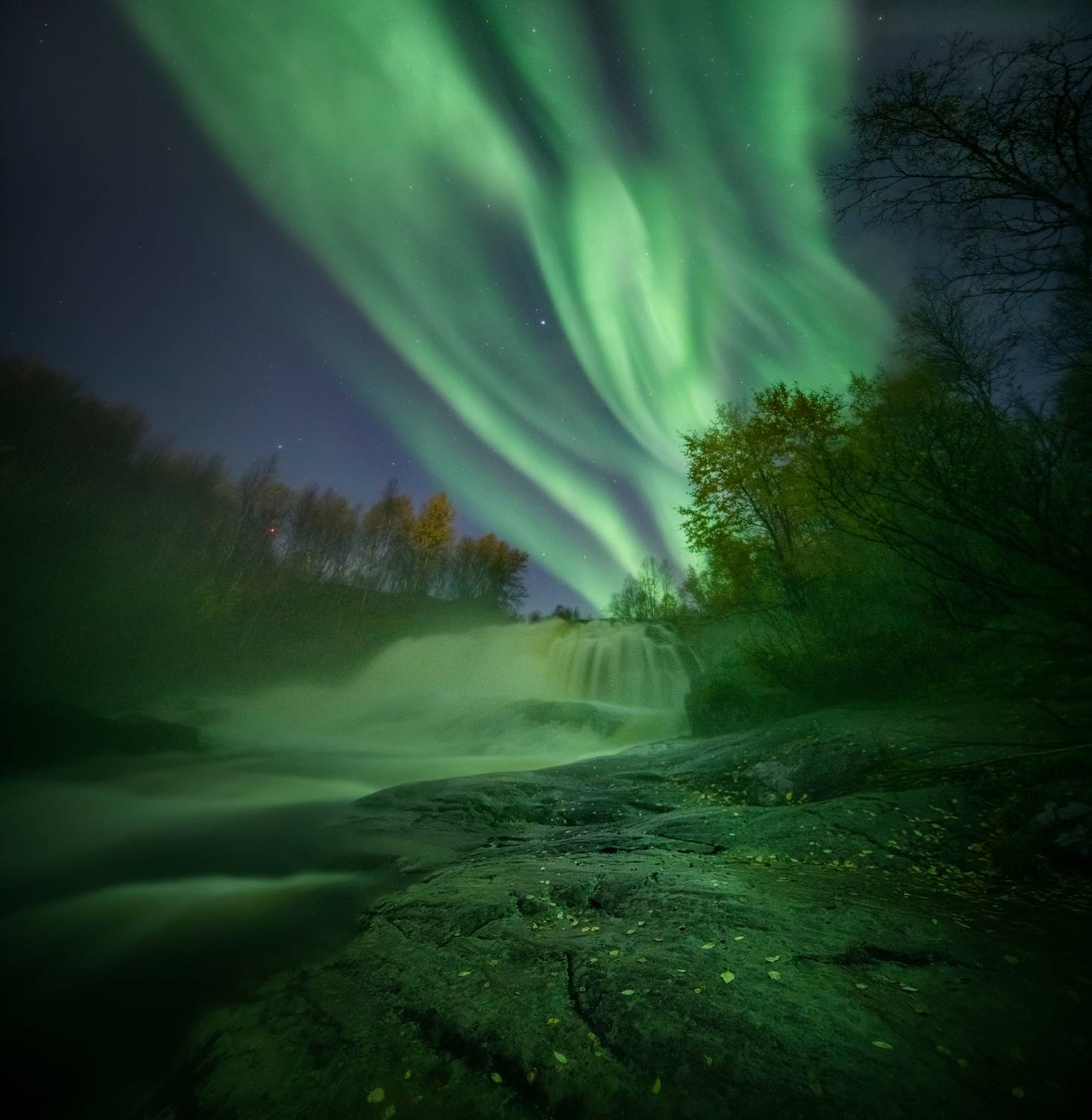 , Елена Ермолина