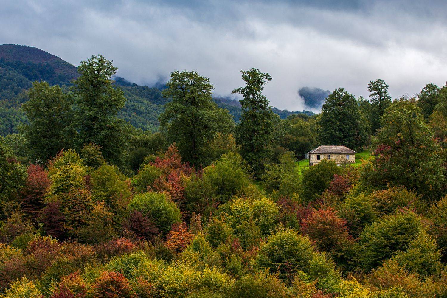 , Денис Свечников