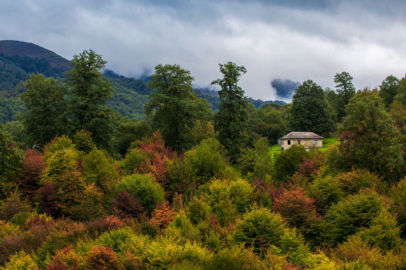 Осень в горах фото превью