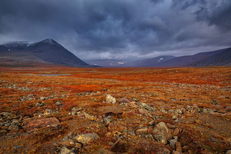 * * * фото превью