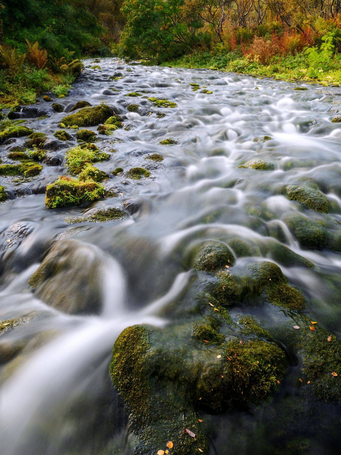 , роман фарберов