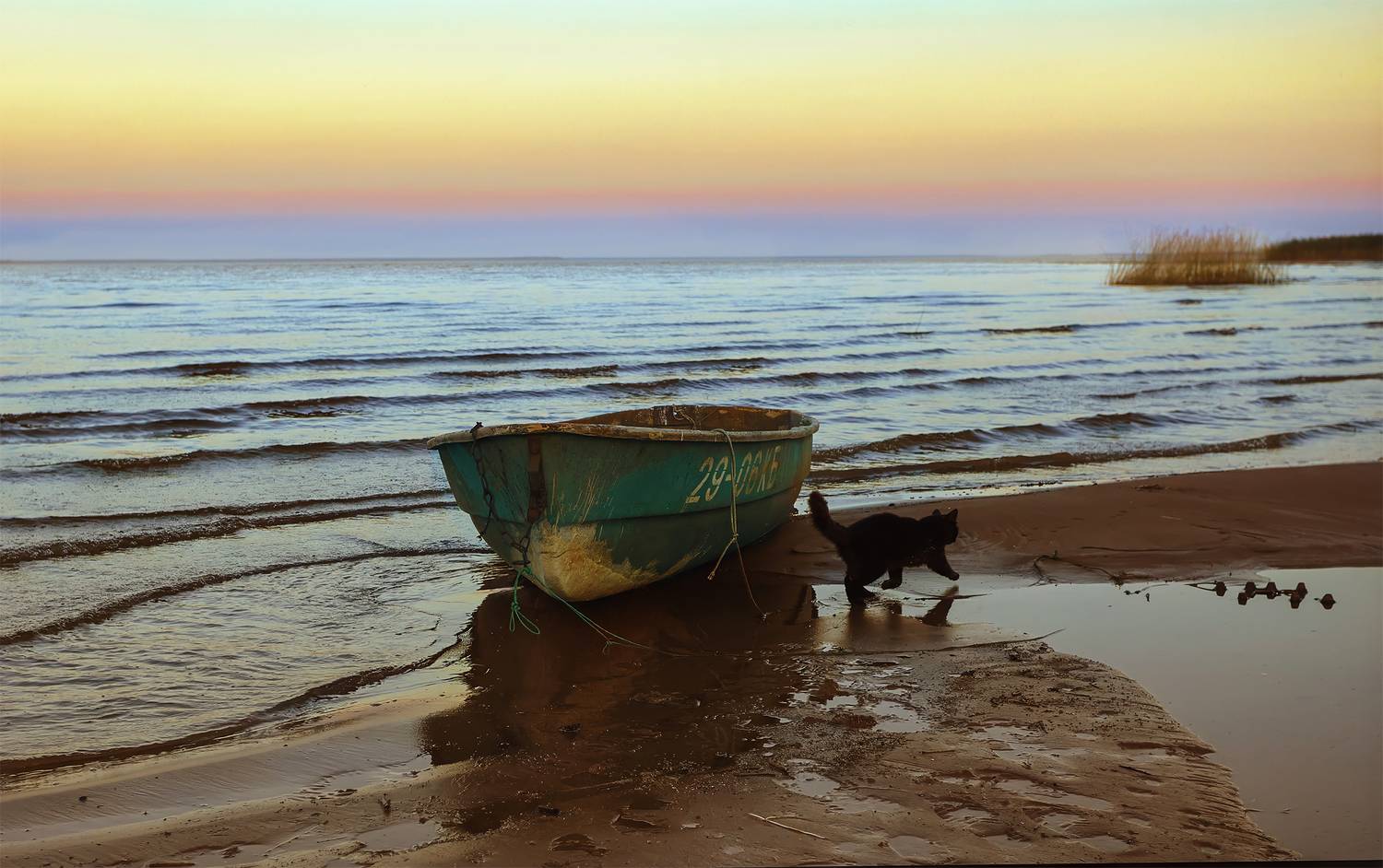 рыбинка, рассветы, Gennady Vasenkov