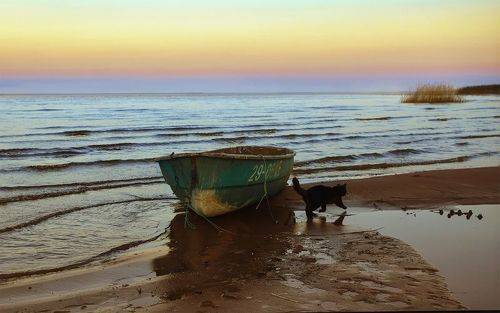 Встреча на рассвете