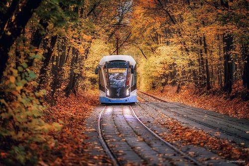 Классические осенние московские трамваи | Autumn Moscow trams