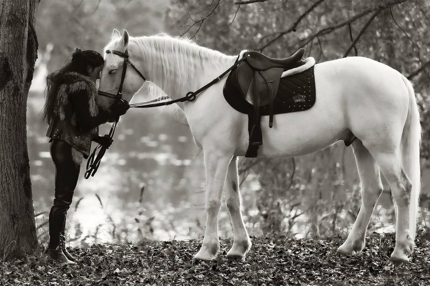 девушка, лошадь, дружба, сюжет, настроение,girl, horse, friends, emotional, nature, Стукалова Юлия