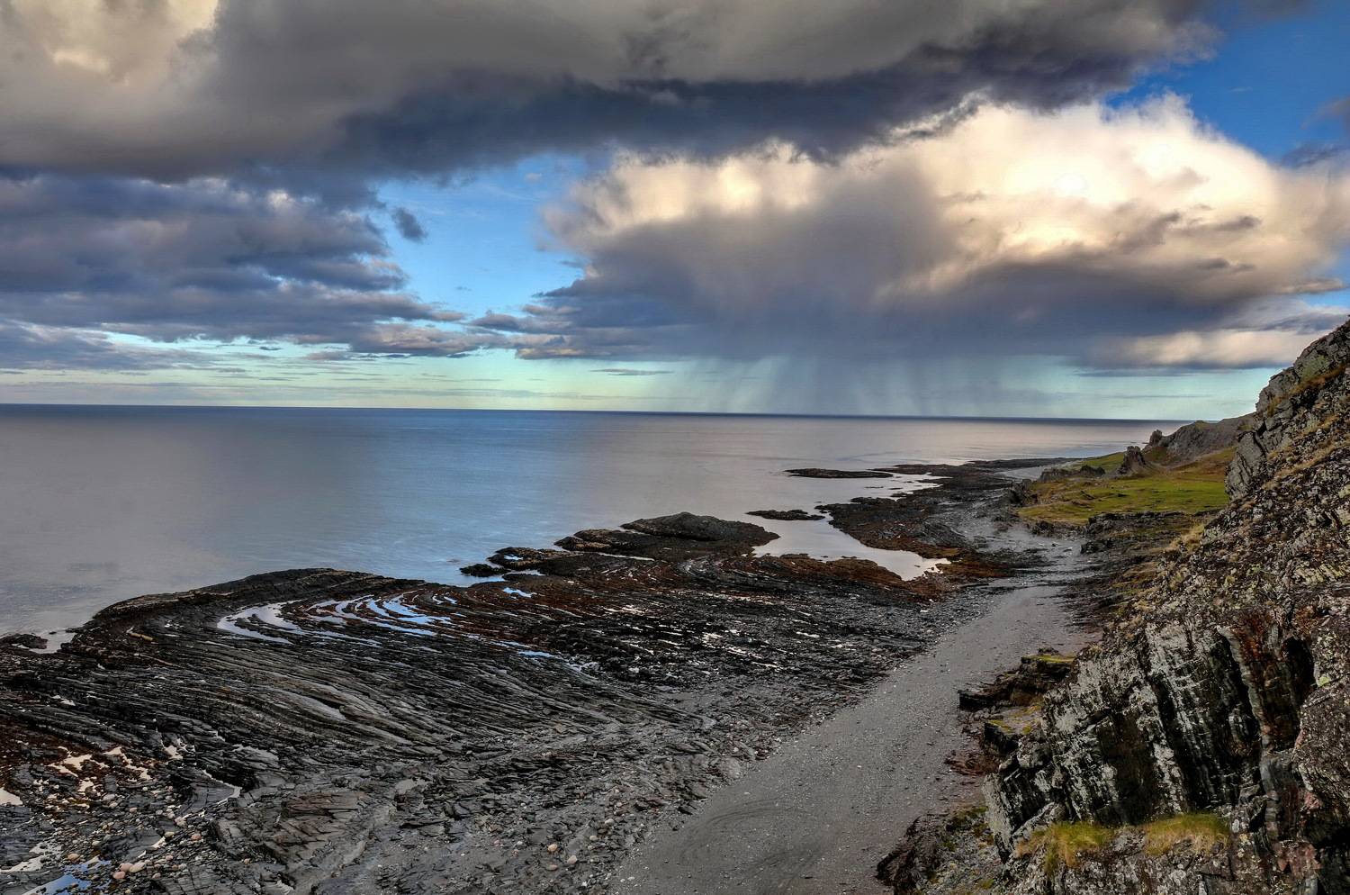 , Добролюбова Тамара