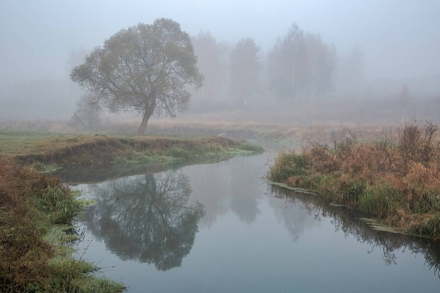 , Евгений Ерохин