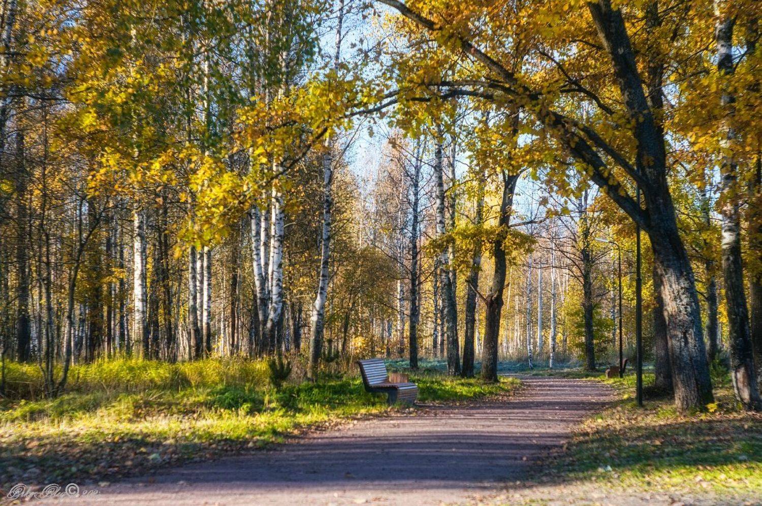 , Орлов Олег