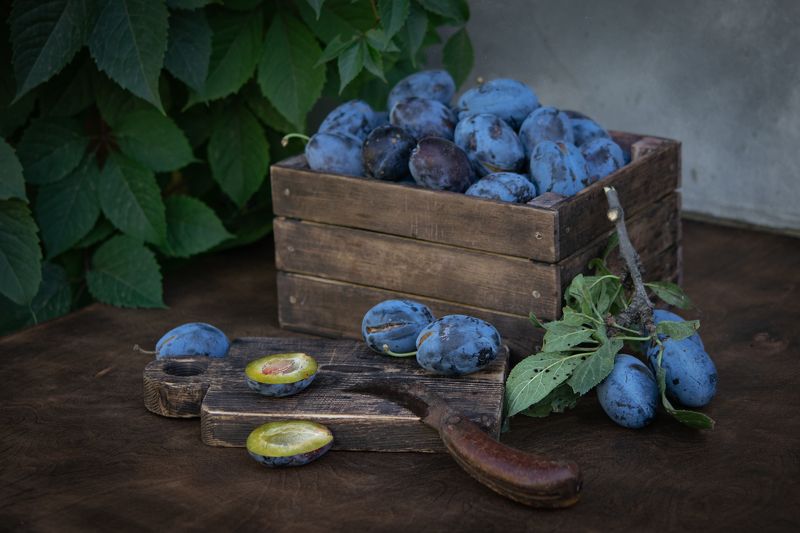 натюрморт,ставрополь,сливы,  фото превью