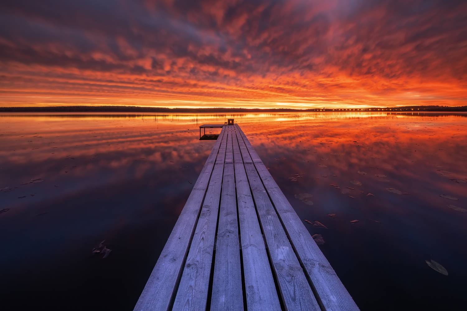 вашутино, Максим Евдокимов