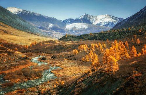 Осенних лиственниц костры...