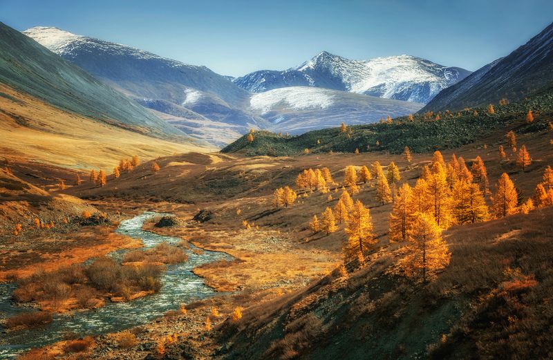 Осенних лиственниц костры... фото превью