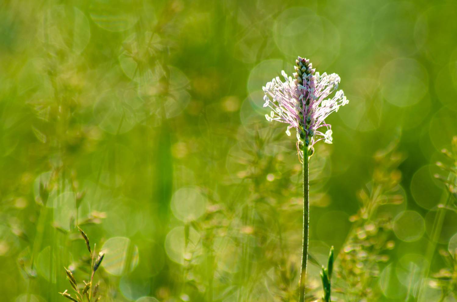 , Савенко Кирилл