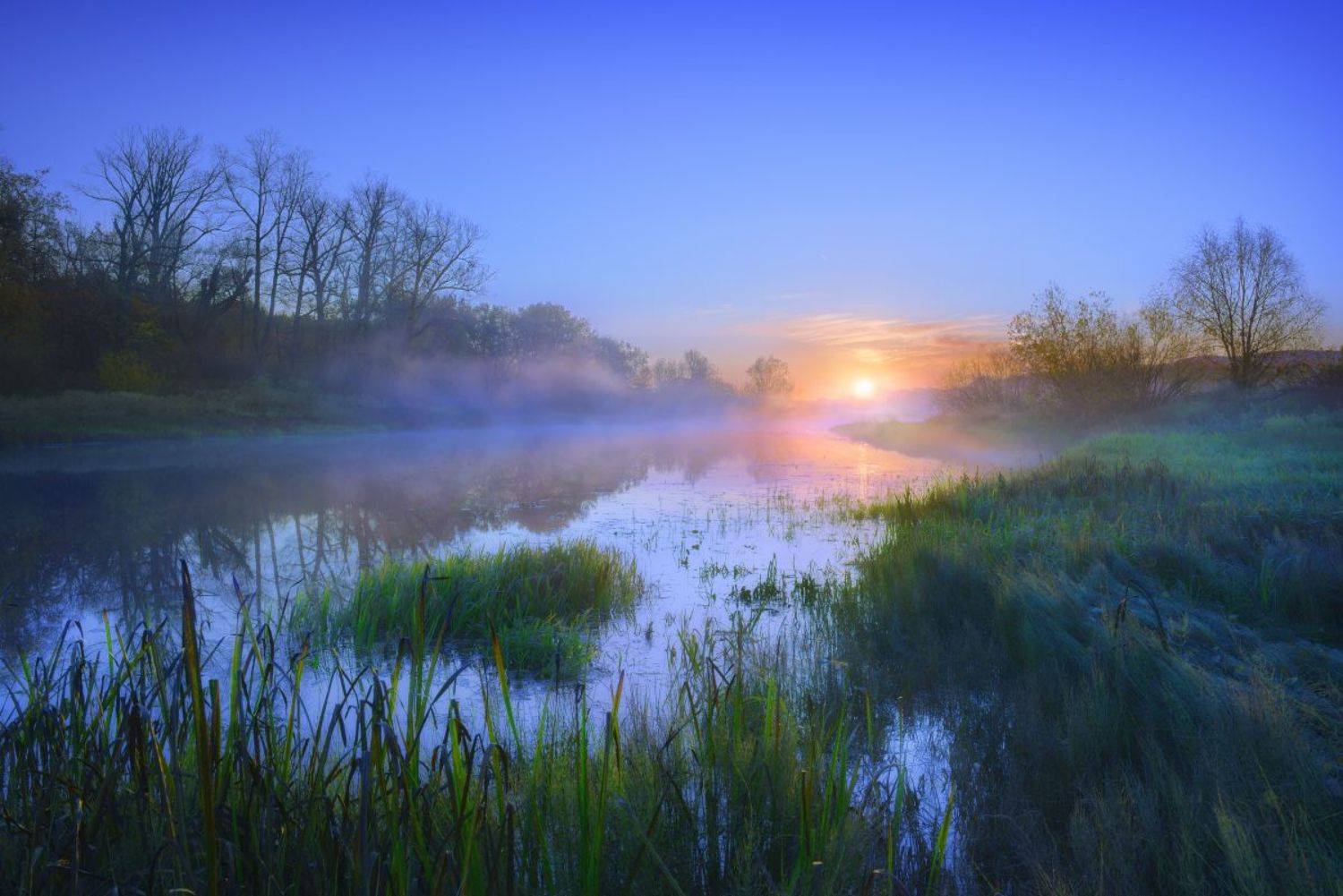 , Александр Тормосин