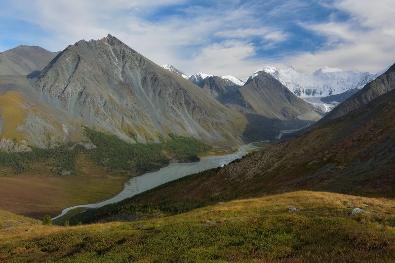 Золотые горы Алтая фото превью