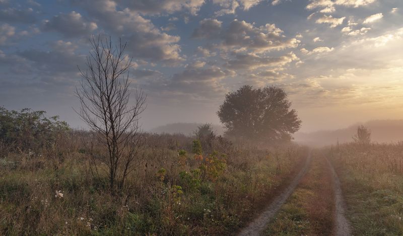 ... фото превью