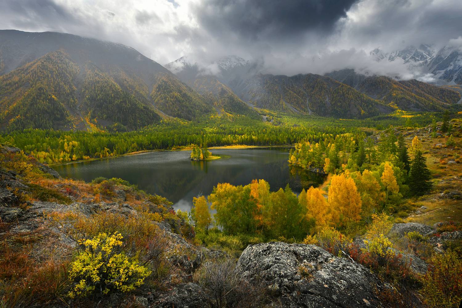 , Светлана Крат