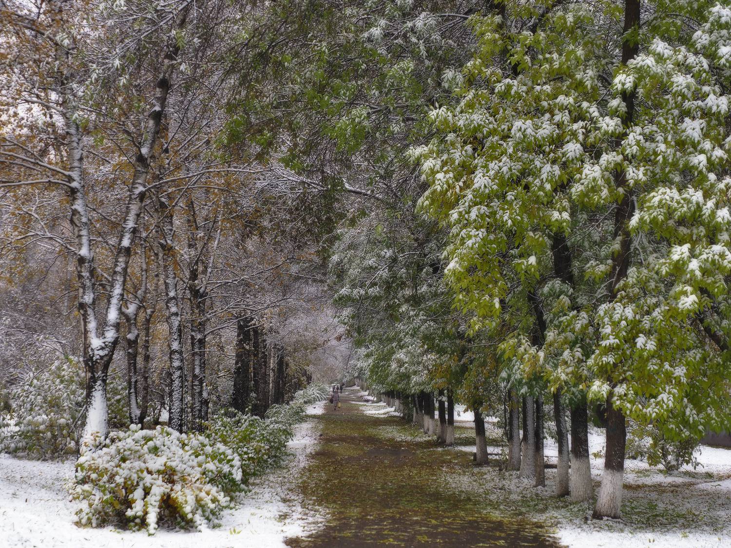 Новокузнецк, Галина Хвостенко