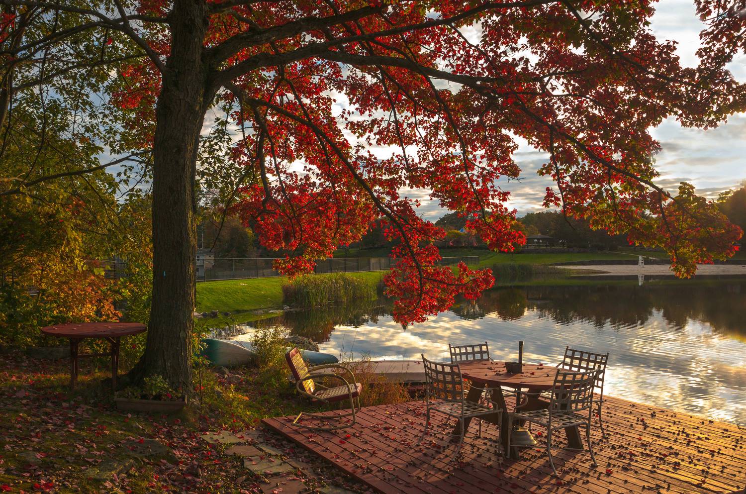 природа,осень,пейзаж,деревья,отражения,озеро,вода,листья,отдых,дача,, Антонина Яновска