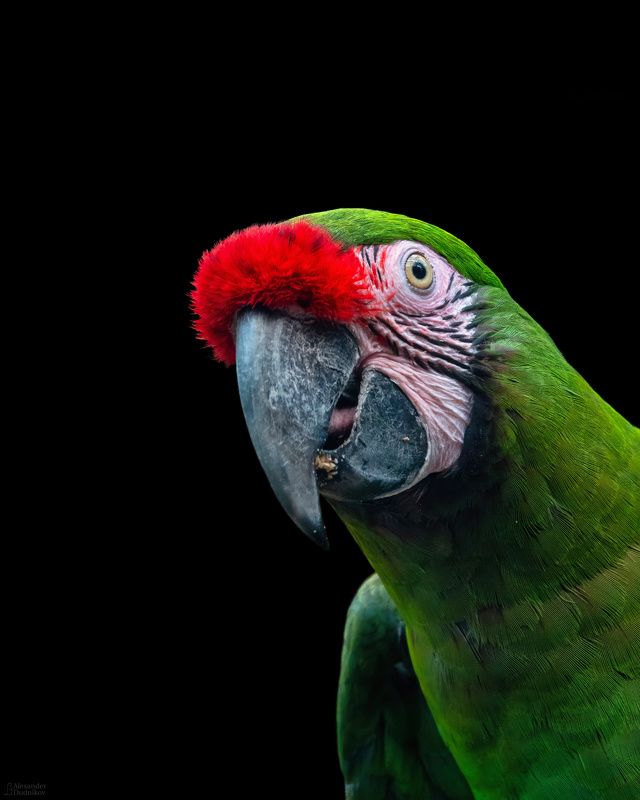 *** фото превью