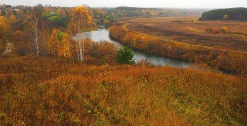Осень на реке.